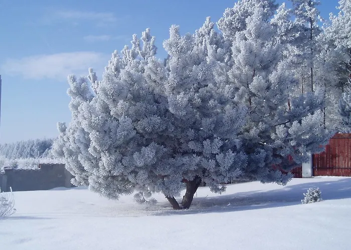 Homestay Dom Nad Jeziorem Pieczarki